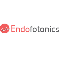 Endofotonics