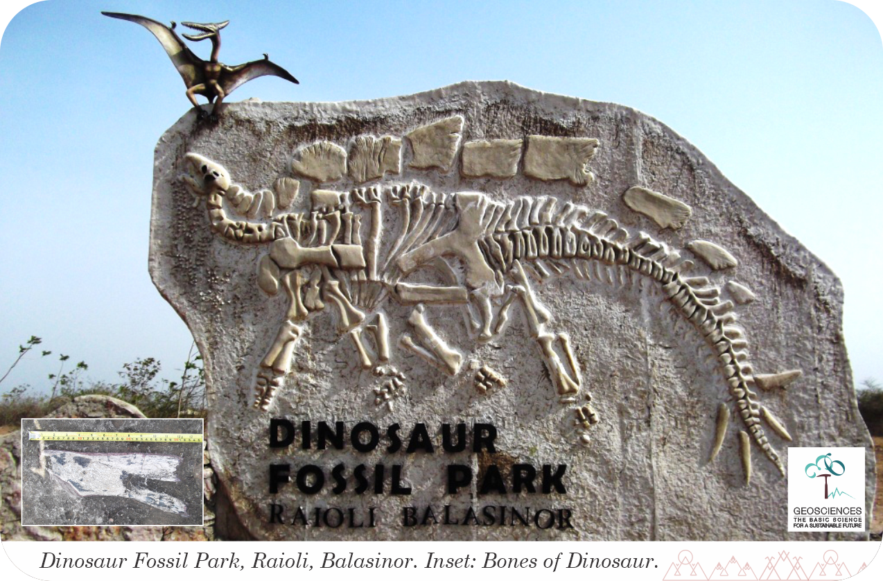 dinosaur fossil park near me