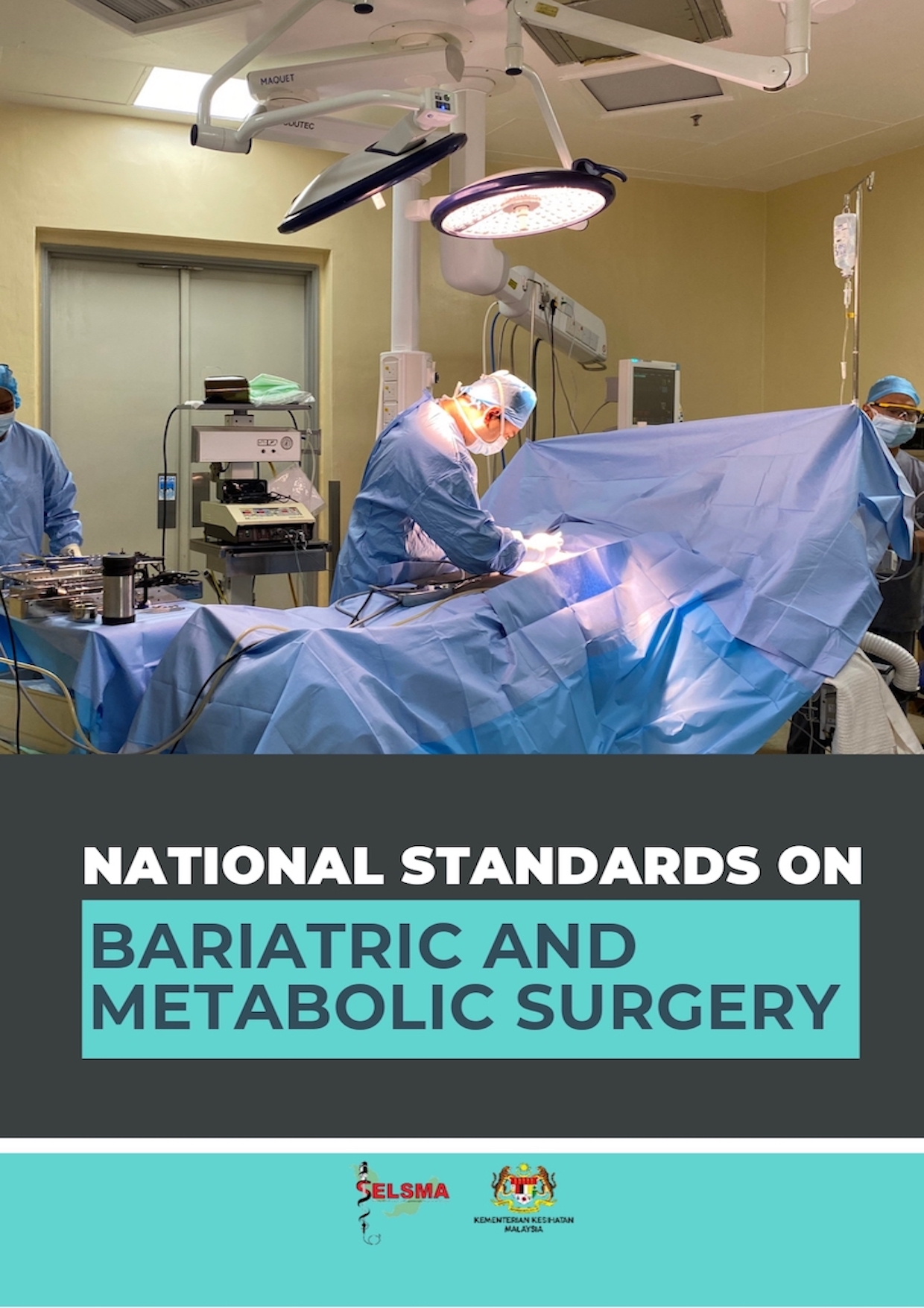 SELSMA National Standards on Bariatric and Metabolic Surgery