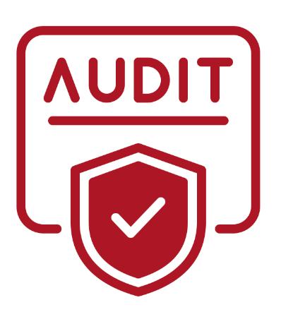 Statutory and Non Statutory Audit 