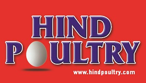 Hind Poultry
