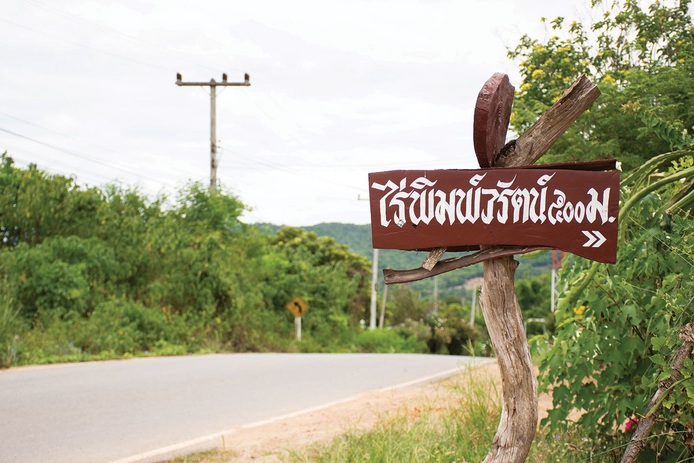 THAILAND YOUNG SMART FARMER: PIMWARAT RUANGPRACHA