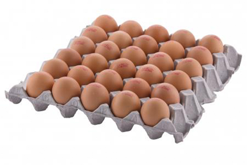 Egg-in-Paper-Tray