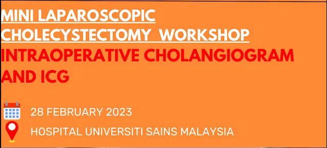 Mini Laparoscopic Cholecystectomy Workshop