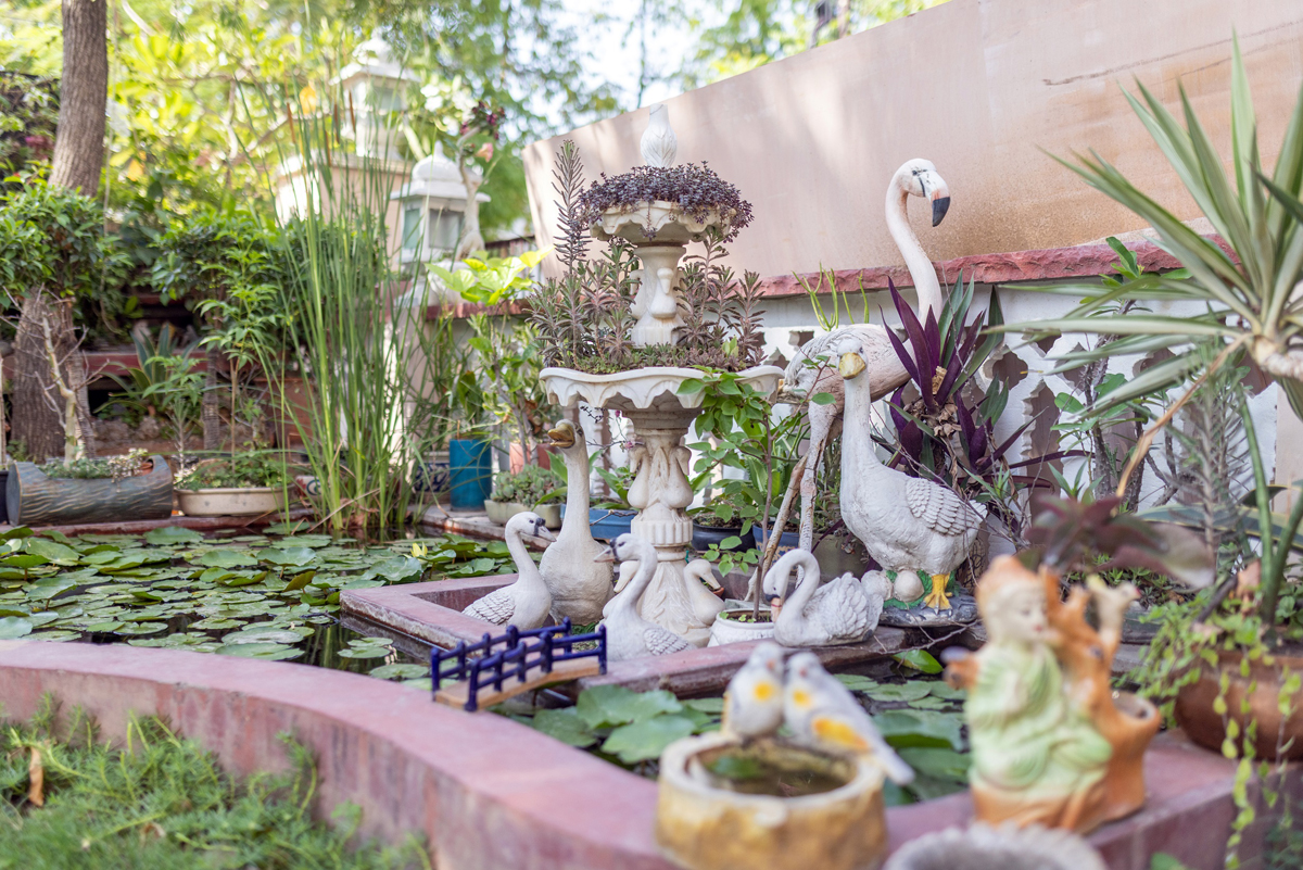 garden-1