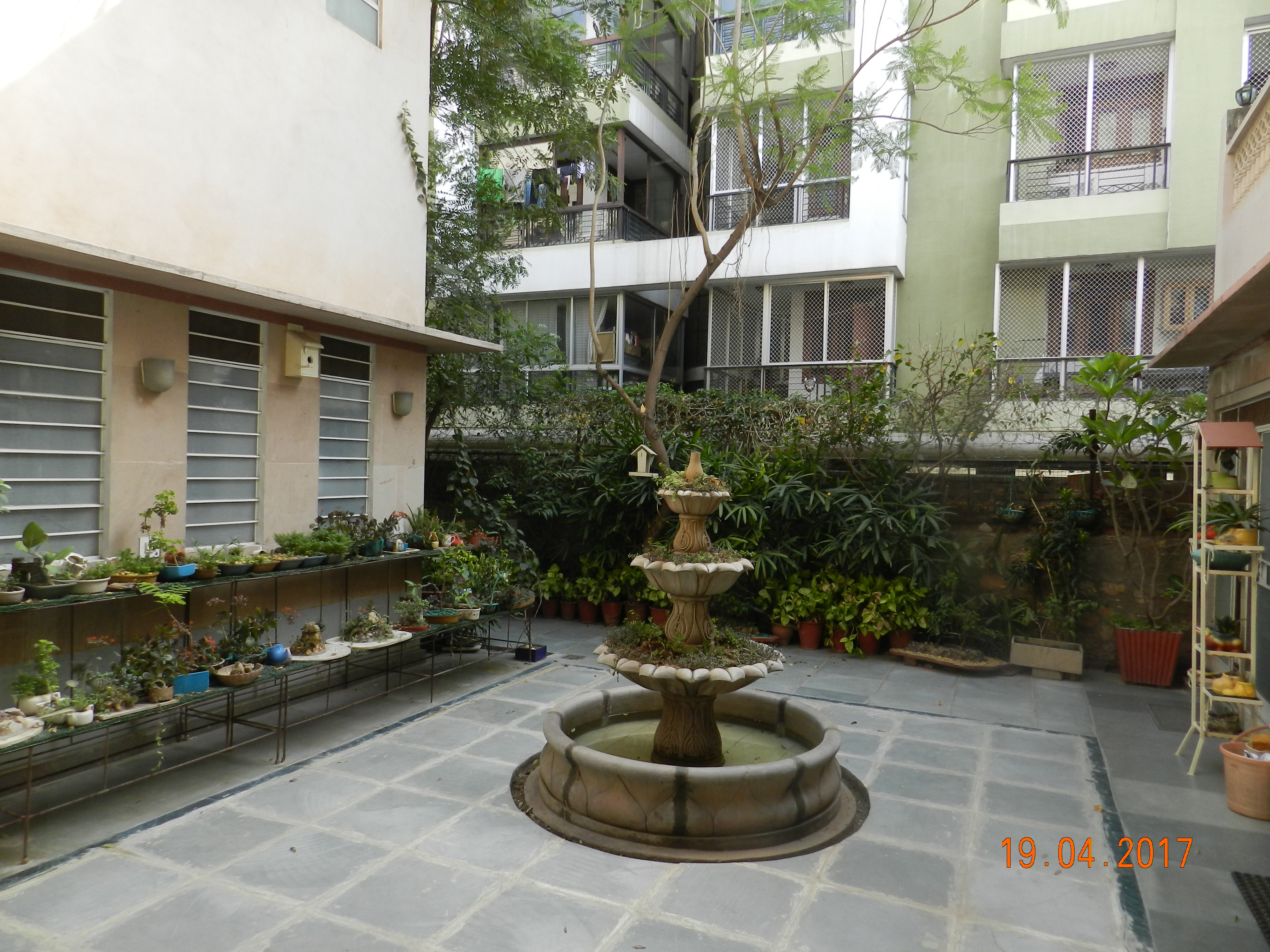 Tara Niwas Back Garden