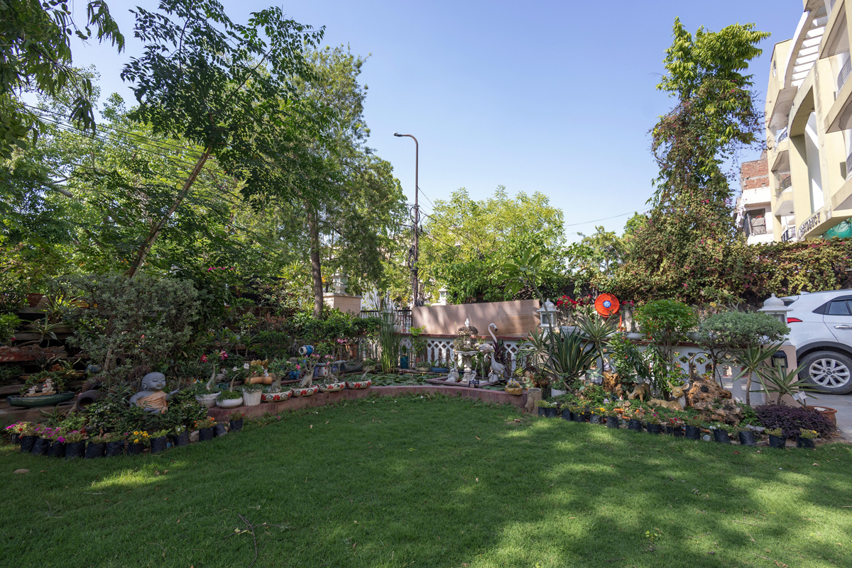 garden-2