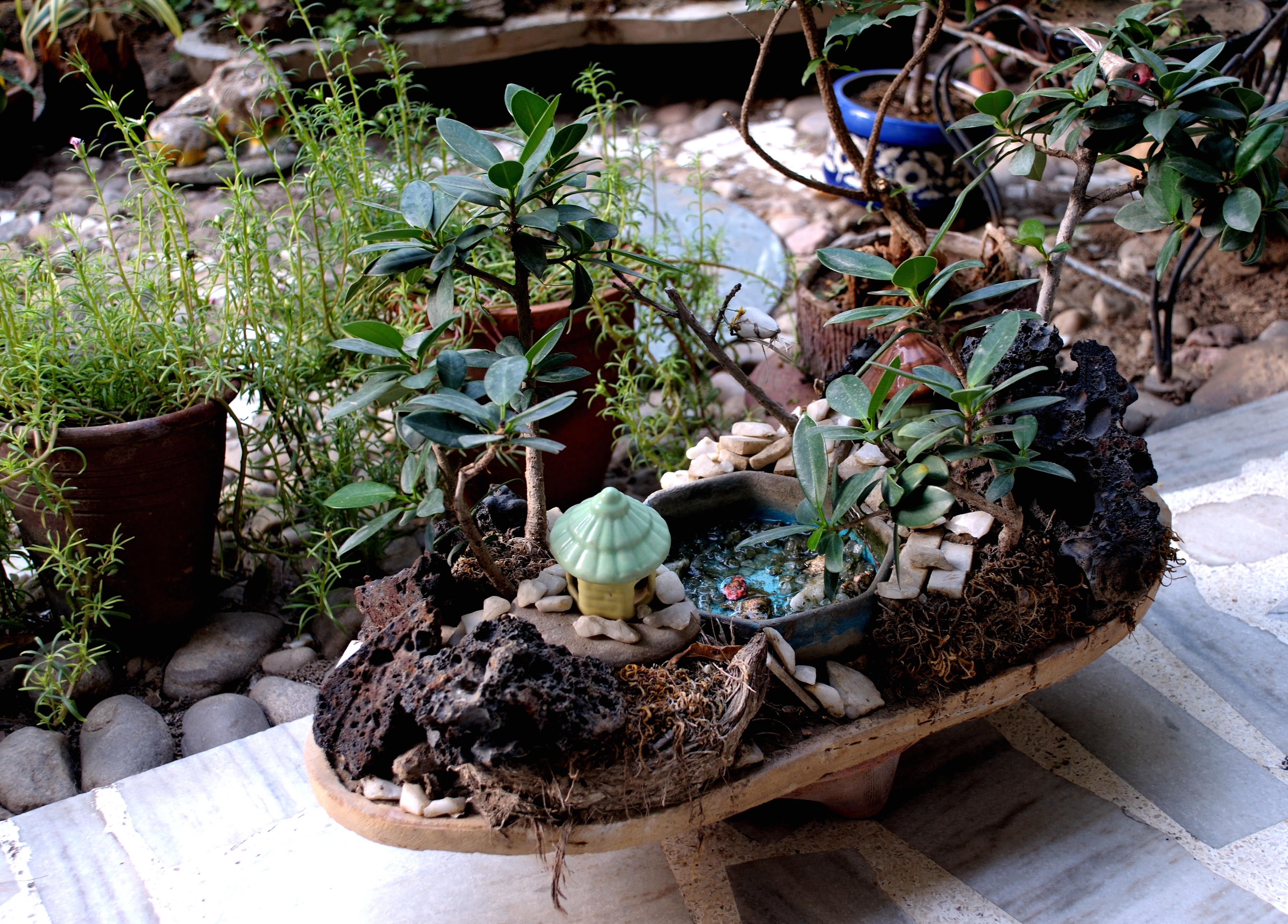 Tara Niwas Bonsai Landscapes