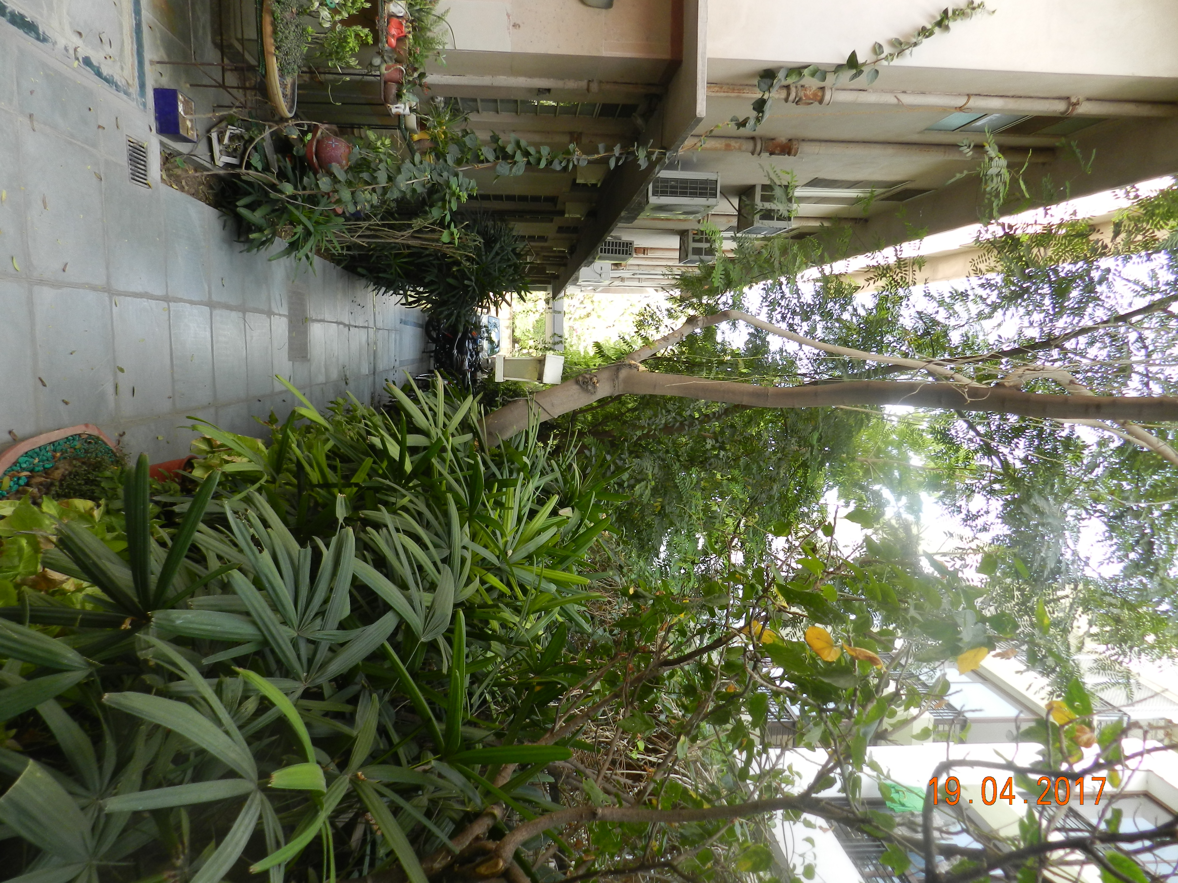 garden-(3)