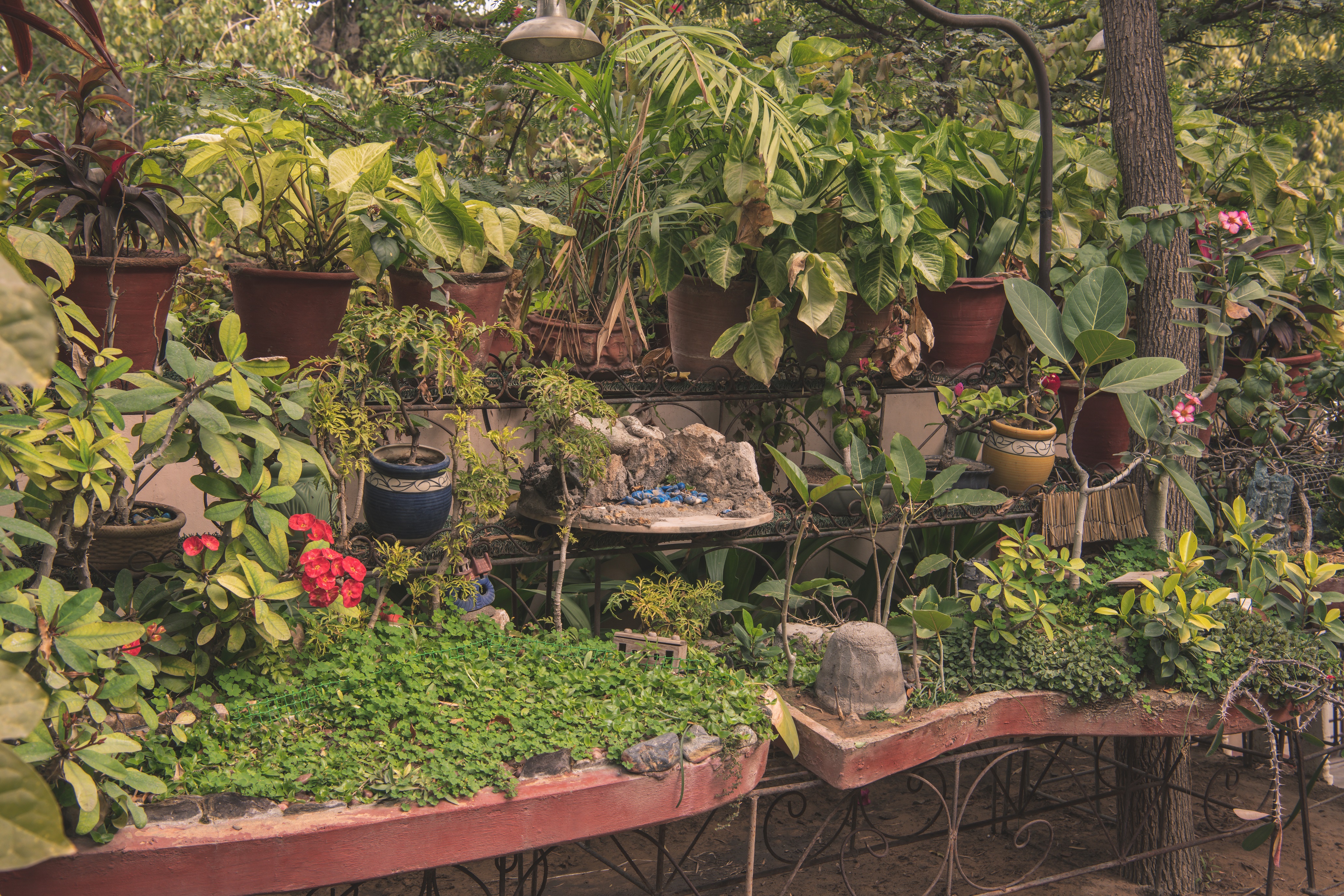 garden-(6)