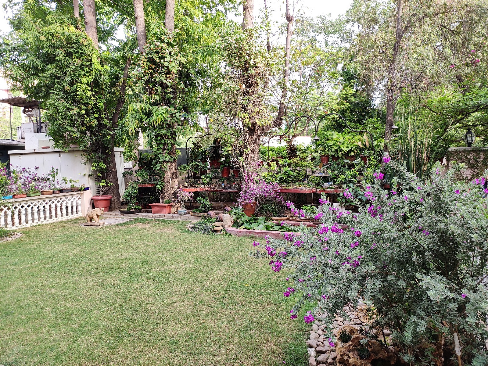 garden-(5)