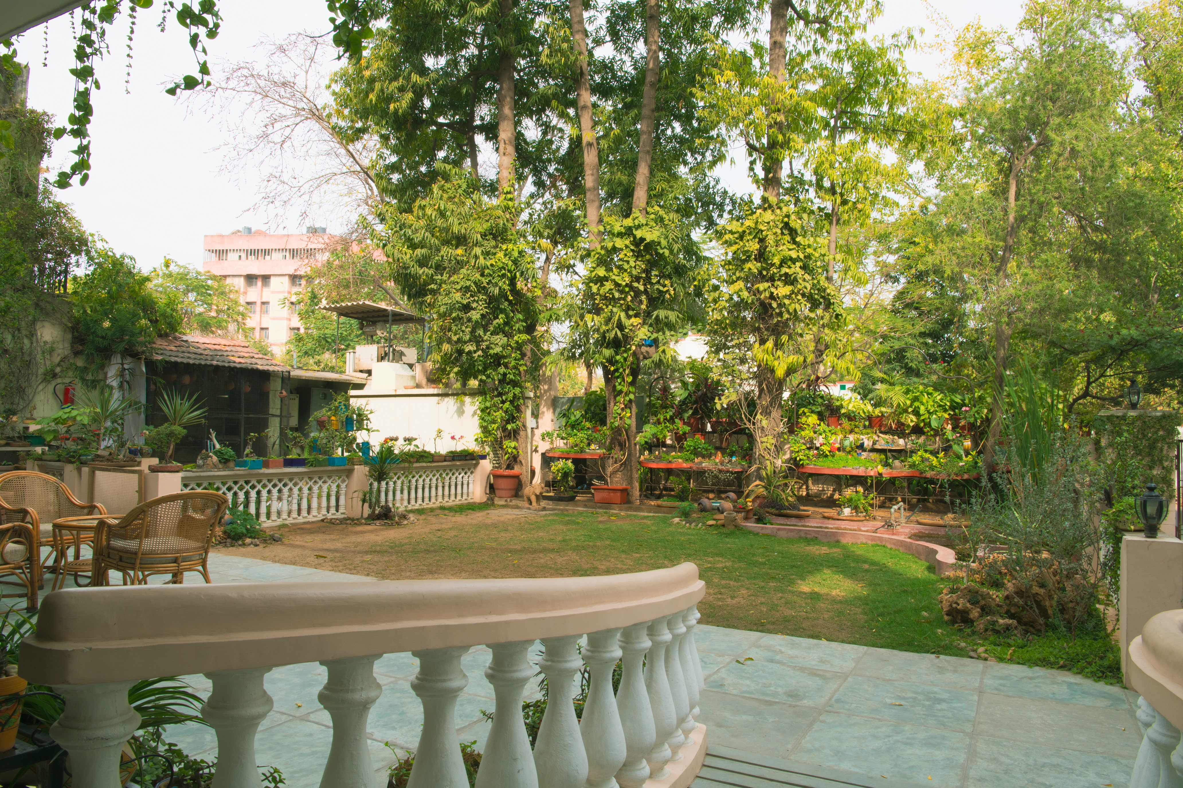 garden-(8)