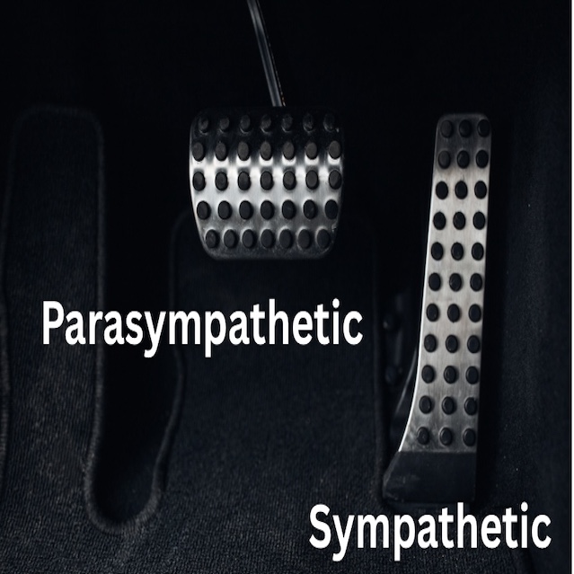 Overactive Sympathetic Nervous System