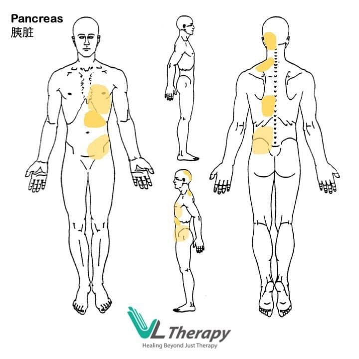 Pancreas Symptoms 胰脏的病症