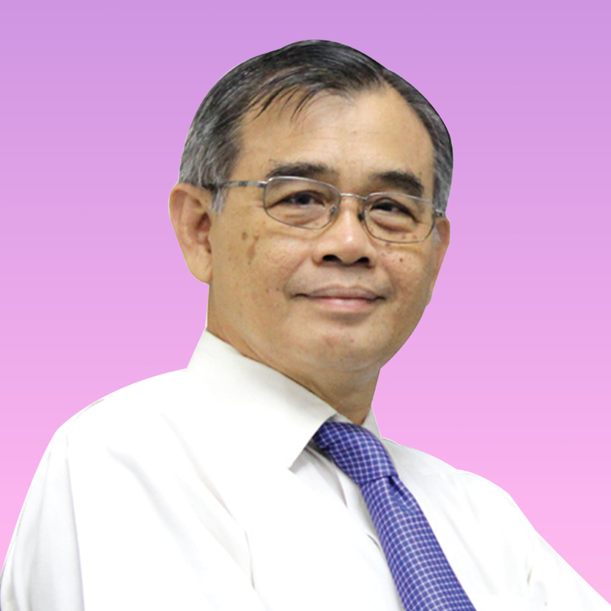 Emeritus Professor<br> Cheong Soon Keng