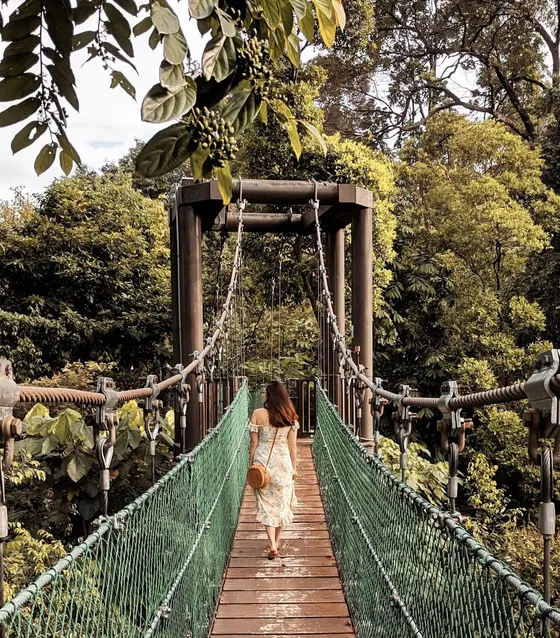 Instagrammable Places in Kuala Lumpur-KL Forest Eco Park Canopy Walk