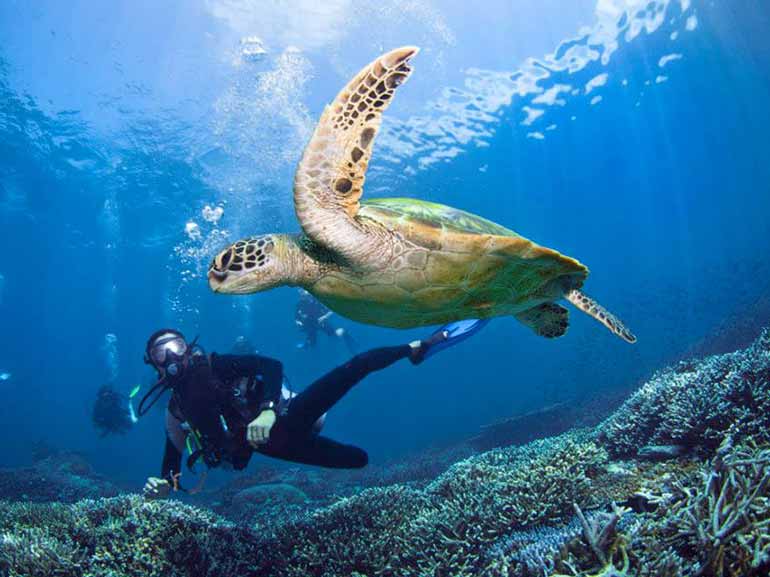Sipadan Island, Sabah