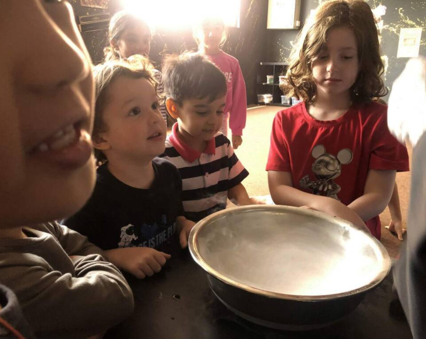 Newtonshow Science Adventure Camp