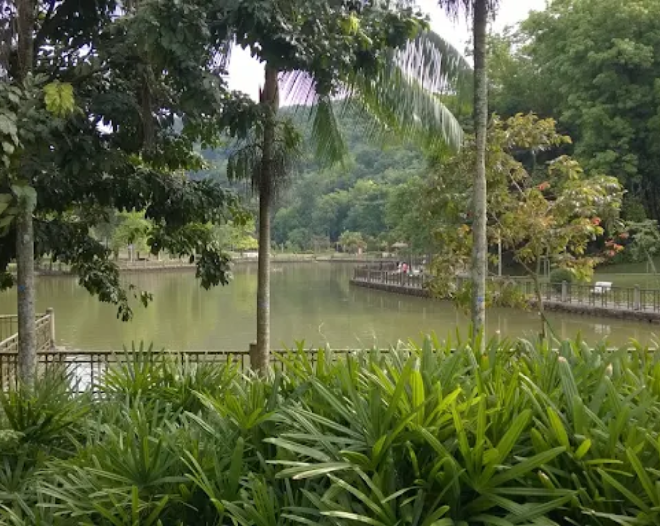 Bukit Kiara Park