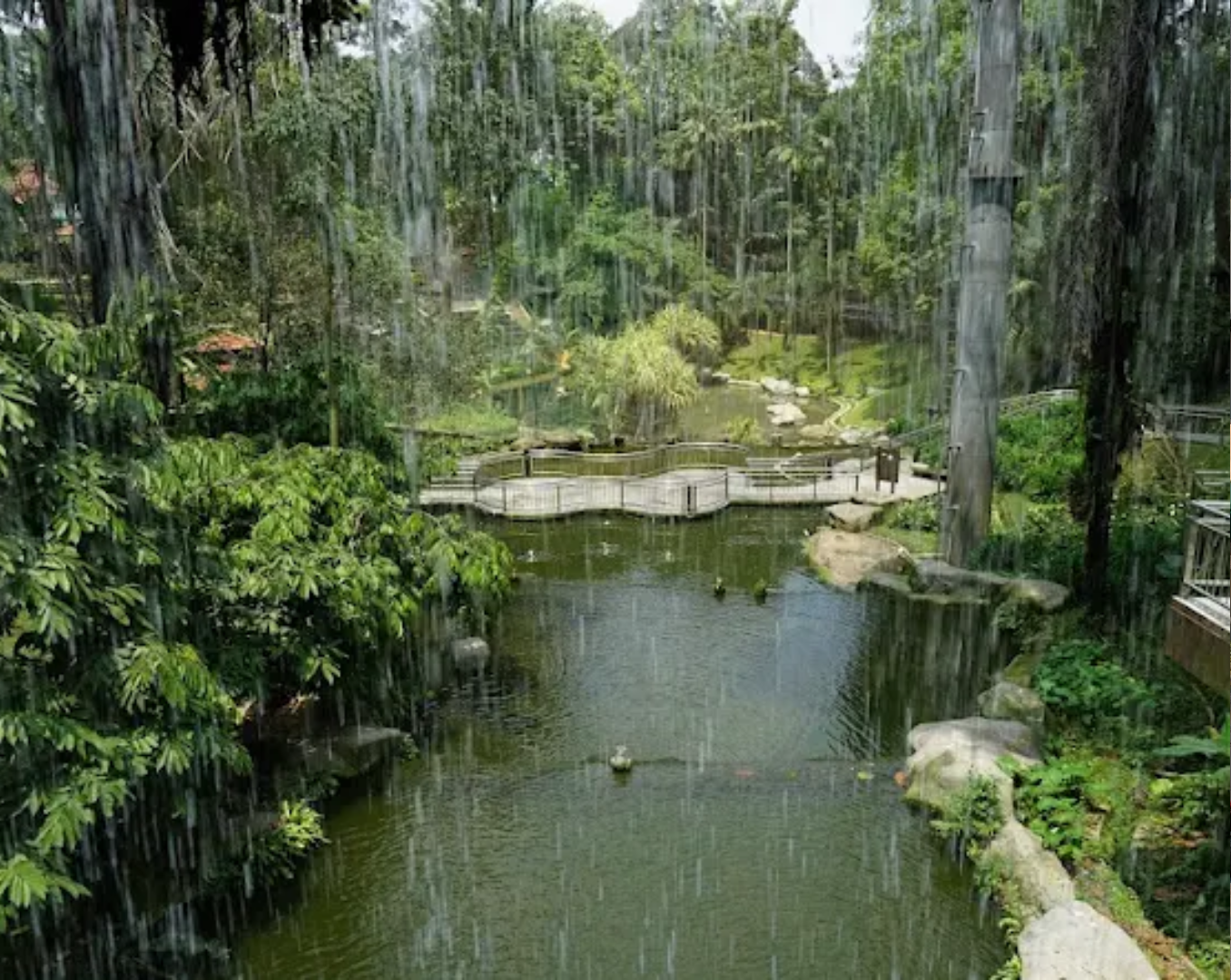 KL Bird Park