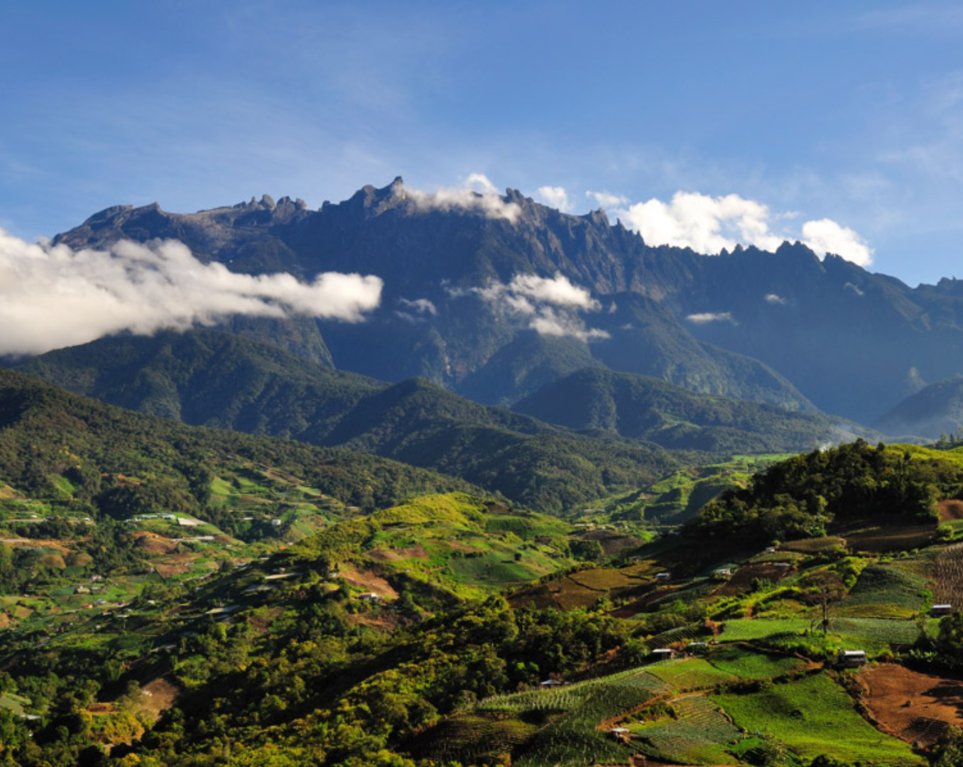 Sabah: Mountain and Marine Conservation