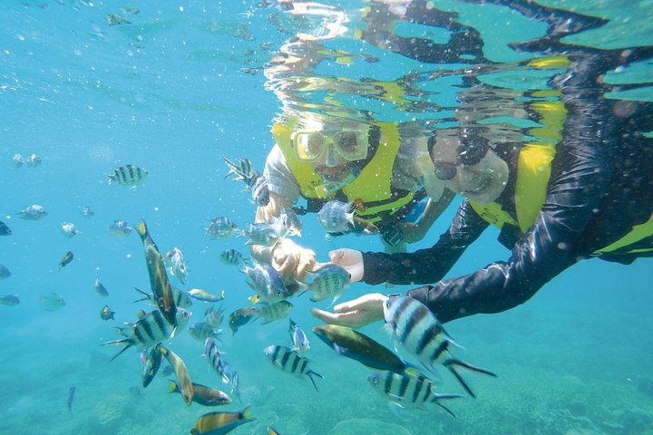 Lankayan Island, Sabah
