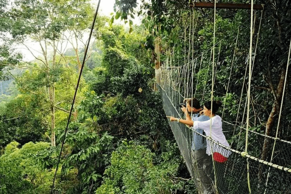 Taman Negara National Park - Wildlife in malaysia