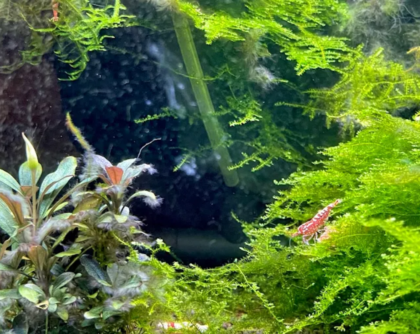 Aquaria KLCC