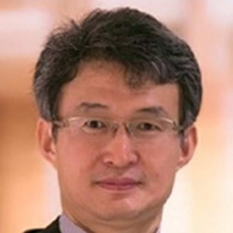 Prof. Dr. Sadanori Akita